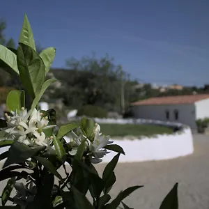 Appartement Swimming Pool Quinta Da Eira 140 Years Old, Loulé